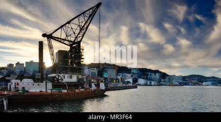 La grue flottante historique sur Wellington waterfront un début de soirée. Banque D'Images