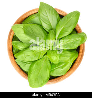 Feuilles de basilic vert frais dans bol en bois. Également grand basilic ou Saint-Joseph le millepertuis commun. Ocimum basilicum. Herbes culinaires. Comestible, matières et bio. Photo. Banque D'Images