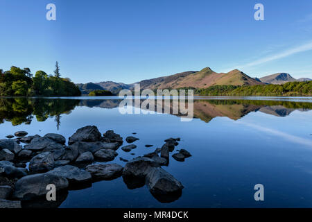 Cat Bells tôt le matin soleil du printemps de l'Isthme Bay Banque D'Images