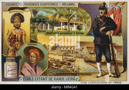 Carte Leibig Français 1900, illustrant la colonies Hollandaises de Bornéo et Java (Indes néerlandaises) Banque D'Images