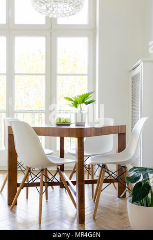 Chaises blanches à table en bois avec un minimum d'usine à l'intérieur de salle à manger avec fenêtre. Photo réelle Banque D'Images