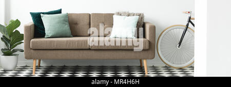 Canapé marron avec des oreillers décoratifs placés dans un salon blanc intérieur avec plancher de linoléum, plante fraîche et vélo Banque D'Images