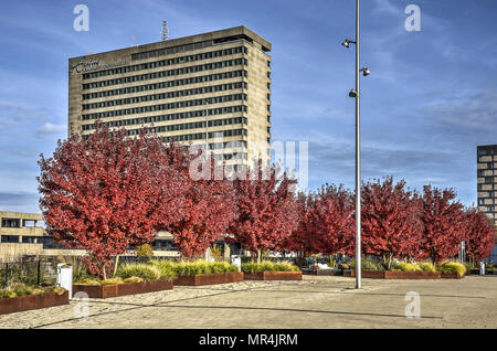 Rotterdam, Pays-Bas, le 30 octobre 2016 : le campus de l'université Erasmus de couleurs d'automne Banque D'Images