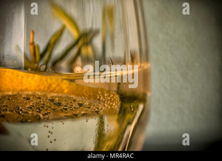 Close-up d'un verre de tonic avec citron et romarin Banque D'Images