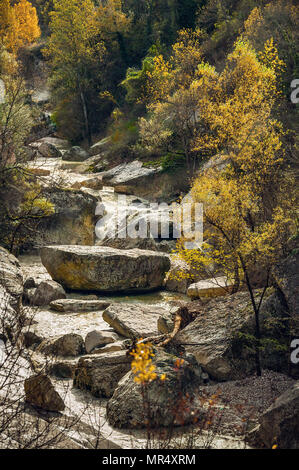 L'Orta, une rivière de montagne, coule impétublement parmi les gros rochers et les plantes aux couleurs automnales.Parc national de Maiella, Abruzzes, Italie, Europe Banque D'Images