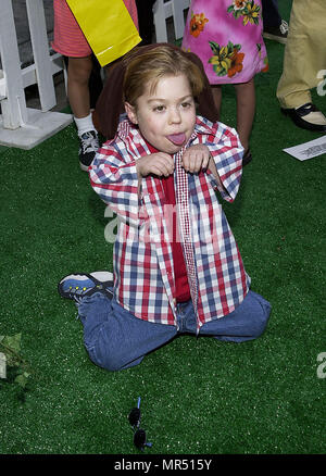 Josh Ryan Evans - Passions - d'arriver à la 1ere de chats & chiens, une action de la vie et de l'animation par ordinateur au Westwood Village à Los Angeles. 23 juin 2001 © TsuniEvansJoshRyan  JPGEvansJoshRyan09.Passions Passions09 Red Carpet Event, Vertical, USA, Cinéma, Célébrités, photographie, Bestof, Arts, Culture et divertissement, Célébrités Topix fashion / Vertical, Best of, événement dans la vie d'Hollywood, Californie - Tapis rouge et en backstage, USA, Cinéma, Célébrités, cinéma, télévision, Célébrités célébrités musique, photographie, Arts et culture, Bestof, divertissement, Topix ver Banque D'Images