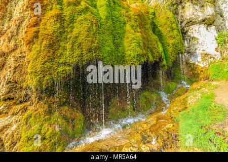 Monument naturel cascade Dreimühlen En Eifel allemand couvert de mousses en zone boisée de tomber dans la rivière Banque D'Images