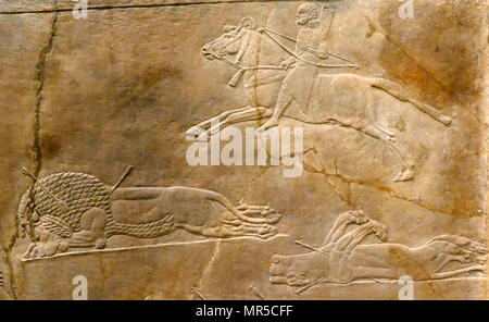 Mur assyrienne relief représentant le lion royal hunt. L'assyrien, environ 645-635 BC de Ninive, Palais du Nord. Banque D'Images