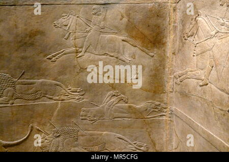 Mur assyrienne relief représentant le lion royal hunt. L'assyrien, environ 645-635 BC de Ninive, Palais du Nord. Banque D'Images