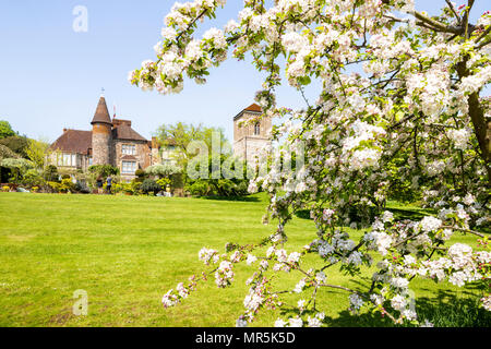 Apple Blossom dans les jardins de la petite cour de Malvern un 15ème siècle Priors Hall at Little Malvern Worcestershire, Royaume-Uni Banque D'Images