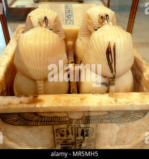 Vases canopes en albâtre, un coffre à canopes trouvés dans la tombe de Toutankhamon. Ils ont été utilisés pour contenir les organes internes retirés au cours du processus de la momification. Le baiser était un pharaon égyptien de la xviiie dynastie (jugé c. 1332-1323 av. J.-C.) Banque D'Images