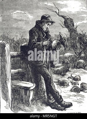 Gravure représentant un ouvrier agricole faim manger un navet cru qui a été mis dans le domaine comme fourrage pour les moutons. En date du 19e siècle Banque D'Images