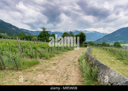 Vue d'un chalet rustique en pierre au milieu d'un vignoble avec une course en sentier le long d'un mur de pierre à l'avant-plan et une belle vue de paysage de montagne Banque D'Images