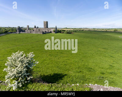 Belles anciennes ruines d'Abbaye de Clare, dans le comté de Clare, Irlande. Campagne irlandaise avec l'ancienne abbaye religieux irlandais en décomposition. Banque D'Images