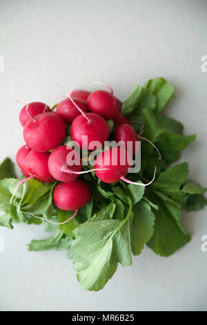 Tas de radis frais avec des dessus et des feuilles sur fond rustique en bois Banque D'Images