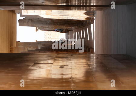 L'intérieur du couloir à colonnade complexe funéraire de Djoser à Saqqara, en Egypte. Saqqara était un ancien cimetière en Egypte, agissant comme la nécropole de l'ancienne capitale égyptienne, Memphis. Djoser a été le premier ou deuxième roi de la iiie dynastie (ca. 2667 à 2648 avant J.-C.) de l'ancien empire égyptien (ca. 2686 à 2125 avant J.-C.) Banque D'Images