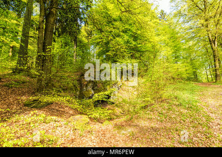 Belle Forêt de printemps paysage avec dans la zone de mill stone et grottes de glace et de hêtres dans Roth, volcanique de l'Eifel à Gerolstein Allemagne Banque D'Images