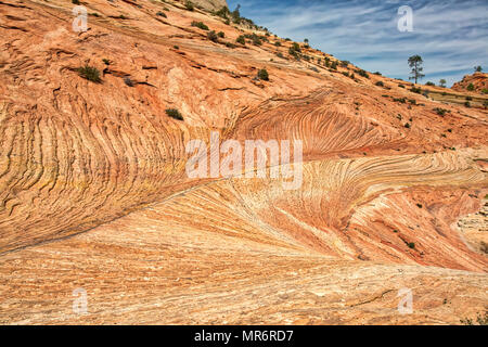 Rock formation ressemblant à des fils de cheveux avec une pièce trouvée dans la région de hauts plateaux du Parc National Zion. Banque D'Images