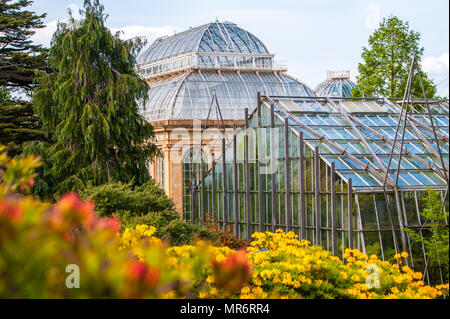 Jardin botanique d'Édimbourg avec rhododendrons en fleurs colorées et plus =dern et victorien maisons vertes. Banque D'Images