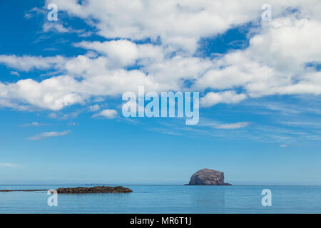 Bass Rock près de North Berwick East Lothian en Écosse. Banque D'Images