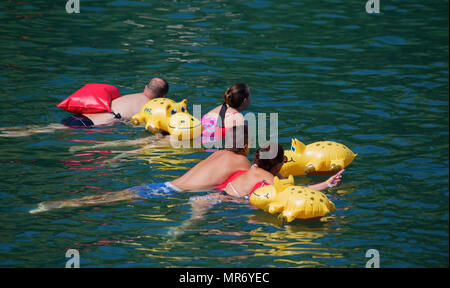 ZURICH - 28 août : 'Zurcher Limmatschwimmen" (baignade dans la rivière Limmat via Zurich centre-ville) le 27 août 2017 à Zurich, Suisse. L 'Li Banque D'Images