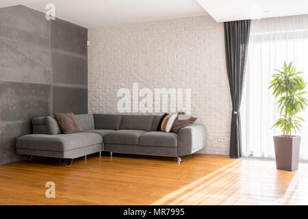 Gris, confortable salle de séjour avec canapé-lit, des panneaux de plancher en bois, des plantes Banque D'Images