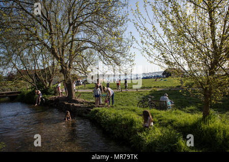 Les enfants jouent sur une corde dans un estuaire swing ou d'un ruisseau à Bosham, près de Chichester, Sussex, UK Banque D'Images