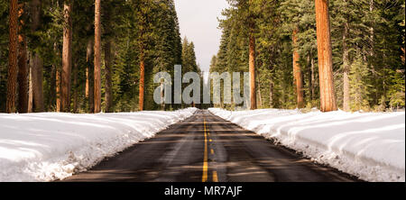 La voie est libre en passant la neige a couvert des terres forestières nationales à travers l'Oregon Cascade Range Banque D'Images