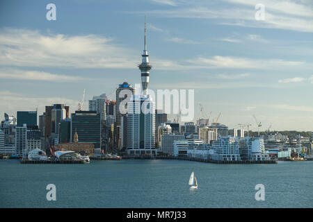 Océanie Aotearoa, Nouvelle-Zélande, Auckland, île du Nord ; Banque D'Images