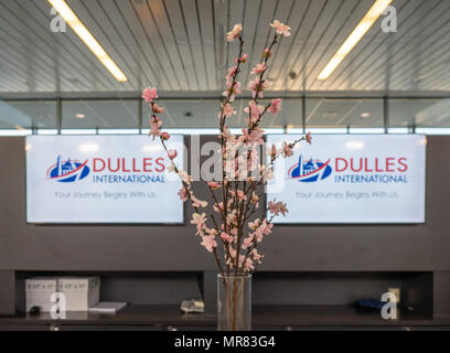 Un terminal à Washington Dulles Airport Banque D'Images