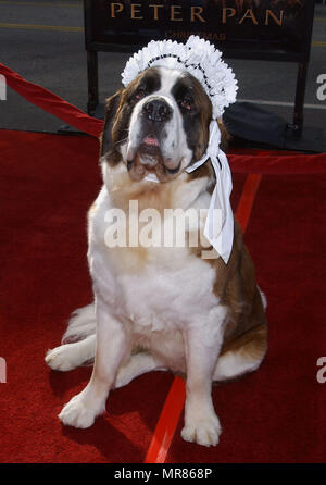 Nana le chien arrivant à l ' ' Premiere Peter Pan au Chinese Theatre de Los Angeles. Décembre 13, 2003. Nana  theDog 011 Red Carpet Event, Vertical, USA, Cinéma, Célébrités, photographie, Bestof, Arts, Culture et divertissement, Célébrités Topix fashion / Vertical, Best of, événement dans la vie d'Hollywood - Californie, tapis rouge et en backstage, USA, Cinéma, Célébrités, cinéma, télévision, Célébrités célébrités Musique, Photographie, arts, Bestof de la Culture et du divertissement, vertical, Topix, une personne, à partir de l'an 2003 , tsuni@Gamma-USA.com - Mode d'enquête, LengthNan complète Banque D'Images