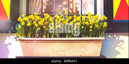 Compositions de fleurs sur les balcons et sous windows Banque D'Images