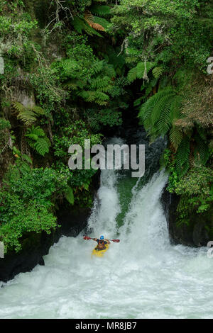 Océanie, Nouvelle-Zélande, île du Nord, Rotorua, Okere, rivière, Tutea Falls Banque D'Images