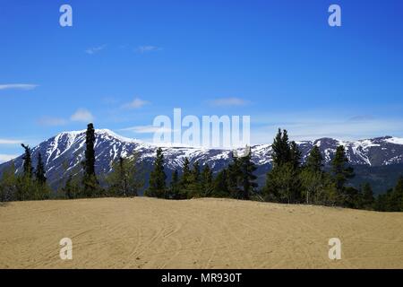 Désert de Carcross, à côté de route du Klondike. Banque D'Images