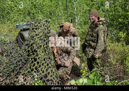 Marines avec 3e Naval Air Force de Liaison Entreprise, Groupe, siège de la réserve de la Force maritime, recherchez d'éventuelles cibles ennemies aux côtés des soldats canadiens de la 2 Royal Canadian Regiment au cours de l'exercice Maple résoudre 17 au Camp Wainwright, Alberta, Canada, le 25 mai 2017. Deux équipes de contrôle de la puissance de feu du 3 ANGLICO composé d'un contrôleur de la finale de l'attaque conjointe, observateurs avancés et sur le terrain des opérateurs radio intégré à la reconnaissance des pelotons et des missiles anti-char sections Système de fournir des feux de contrôle terminal pour les missiles surface-surface ainsi que l'air-to-s Banque D'Images