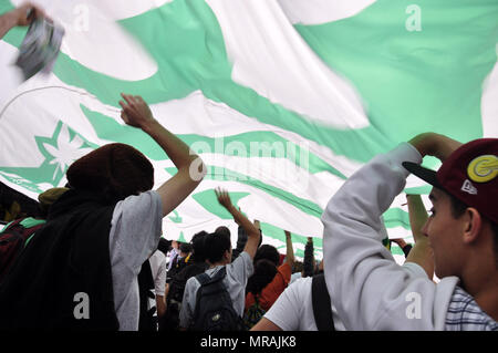 Sao Paulo, Brésil, 26 mai 2018. Les militants de la légalisation de la marijuana depuis mars le Reichstag pendant la parade annuelle du chanvre (Hanfparade) le 26 mai 2018 dans la région de SÃ£o Paulo, Brésil. Les partisans de la légalisation du cannabis espèrent que la légalisation dans plusieurs états des États-Unis au cours des dernières années, augmenteront la probabilité de la légalisation au Brésil. Credit : Cris Faga/ZUMA/Alamy Fil Live News Banque D'Images