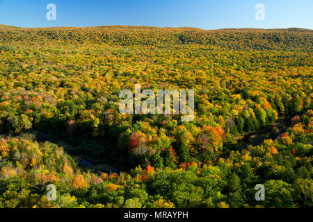 Vue sur la forêt du Lac des nuages dans la zone de visualisation, montagnes Porcupine Wilderness State Park, Michigan Banque D'Images