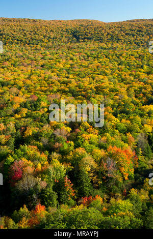 Vue sur la forêt du Lac des nuages dans la zone de visualisation, montagnes Porcupine Wilderness State Park, Michigan Banque D'Images