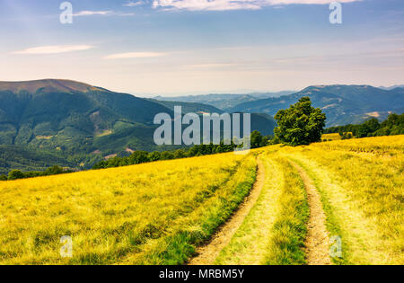 Par le pays d'arbres route qui serpente en bas de la montagne Plesha. forêt de bouleaux sur la colline herbeuse et Apetska mountain au loin. bel été Banque D'Images