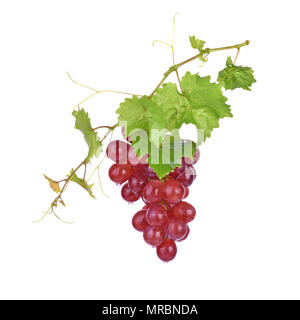 Les raisins rouges avec des gouttes d'eau sur fond blanc. Banque D'Images