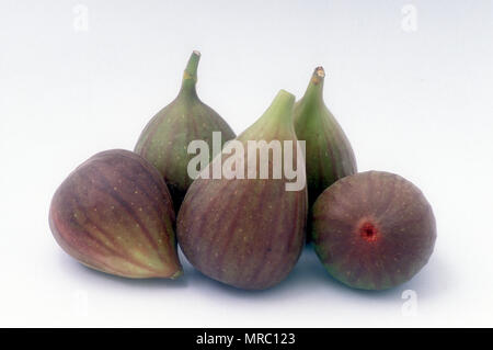 Figues fraîches (Ficus carica) Banque D'Images