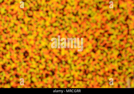 Photo floue d'une variété de vitrage de couleur en poudre sous forme de petites boules. Image flou artistique de perles colorées de très petite taille pour la décoration Banque D'Images
