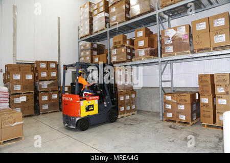 Technicien approvisionnement adjoint Tamra Meyer avec le Centre de préparation logistique Gestion de l'offre de séjour de l'Office (SSMO) utilise un chariot élévateur pour placer un envoi de nourriture en un grand refroidisseur stockage après un accouchement, 1 juin 2017, dans le bâtiment 490 à Fort McCoy, Wisconsin la SSMO, reçoit des ordres, et distribue des rations alimentaires et tous les aliments nécessaires pour chaque exercice à Fort McCoy ainsi que pour les unités de combat des week-end, prolongé, ou de formation annuel. Le personnel de la SSMO ordonne également rations, comme les repas, prêt à manger, grâce à l'Agence de Logistique de la défense et qu'ils ont terminé la série pour l'alimentation de la salle fa Banque D'Images