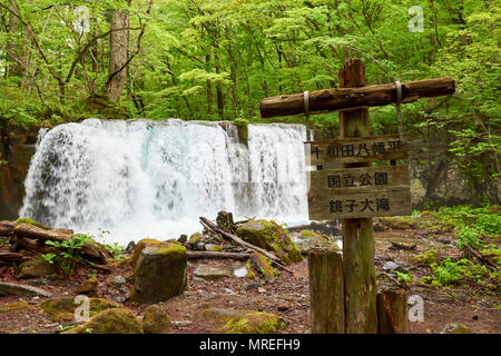 Oirase Stream in Keiryu Towada Parc National, le Japon. Le flux est à pied 14 km de long et dispose d'une série de courants et de cascades. En détail est Chosh Banque D'Images