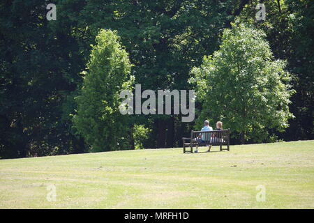 Un couple assis sur un banc dans un parc, entouré par des arbres et un soleil brillant. Paisible retraite concept. Banque D'Images