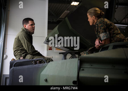 Le brig. Le général Helen Pratt, 4e Groupe logistique maritime général commandant, monte sur un véhicule d'assaut amphibie (AAV) pour satisfaire le Cpl. Yudiel Suarez, un équipage d'AAV avec 4e Bataillon d'AAV, au cours d'une visite de la Marine Corps dégrossissement du Programme (MCPP-N) des grottes, 14 juin 2017 près de Stjørdal, la Norvège. Marines effectuer la maintenance de l'AAV et assurer le véhicule est en bon état avant de le retourner à l'entreposage. MCPP-N améliore l'interopérabilité entre les États-Unis et la Norvège, l'amélioration de l'accès à une région stratégique clé dans le Commandement européen des États-Unis Salon-de-responsabilité. (U.S. Marine Corps photo par le Cpl. Banque D'Images