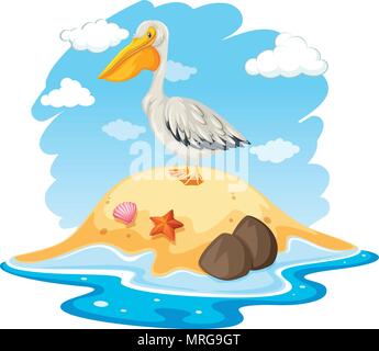 Oiseau Pelican sur petite île illustration Illustration de Vecteur