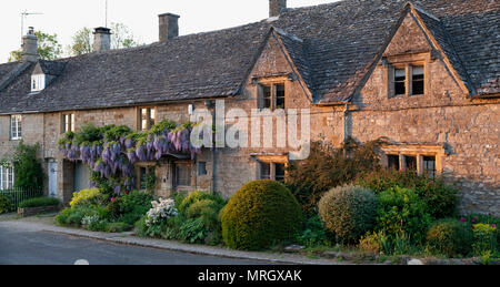 La lumière du soleil du soir sur une rangée de cottages dans le village de Minster Lovell, Cotswolds, Gloucestershire, Angleterre Banque D'Images