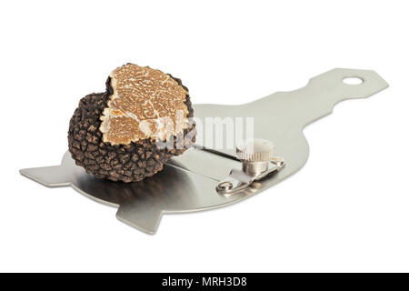 Grand noir truffe sur un slicer isolated on white Banque D'Images