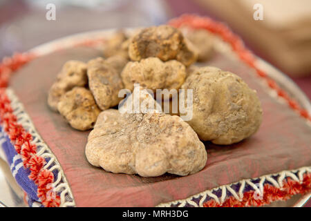 L'italien aux truffes blanches (Tuber Magnatum). Festivals et foires en Italie Banque D'Images